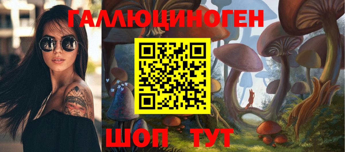 Галлюциногенные грибы GOLDEN TEACHER  Вход с VPN  Магадан 